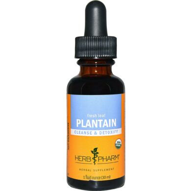 Plantain - 1oz