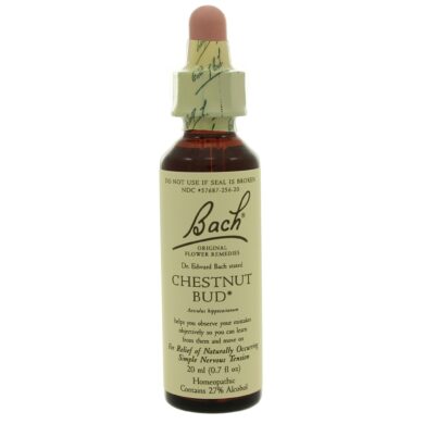 Chestnut Bud - 20 milliliters