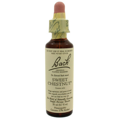 Sweet Chestnut - 20 milliliters