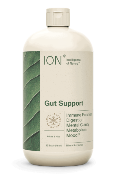 ION Gut Support 32 fl oz